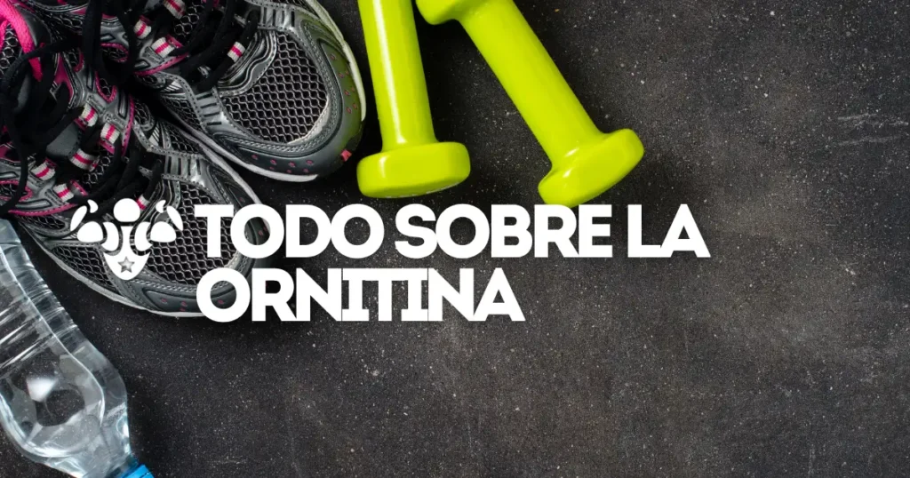 Todo sobre la Ornitina
