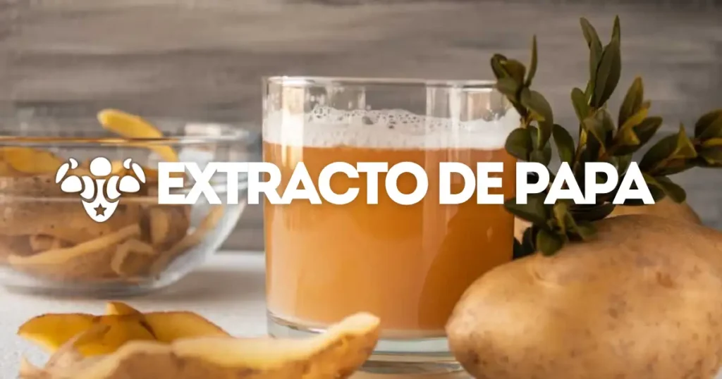 Extracto de papa