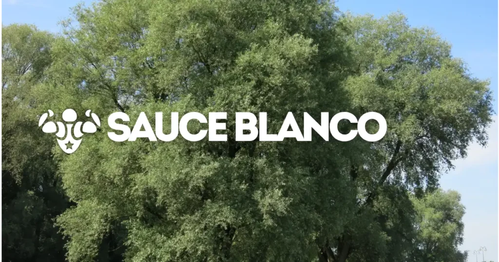 Sause Blanco