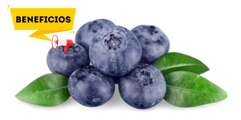 Beneficios de los arándanos