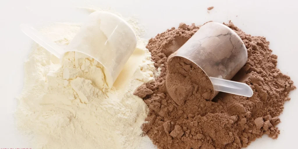 Egg Protein - Proteína de huevo