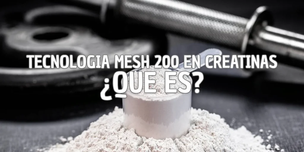 Creatina micronizada y tamaño de partícula