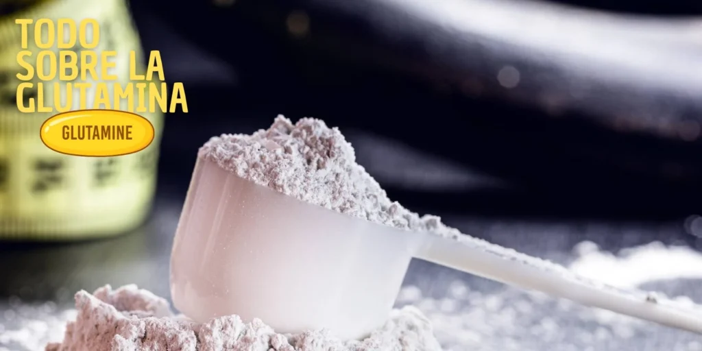 Todo sobre la glutamina