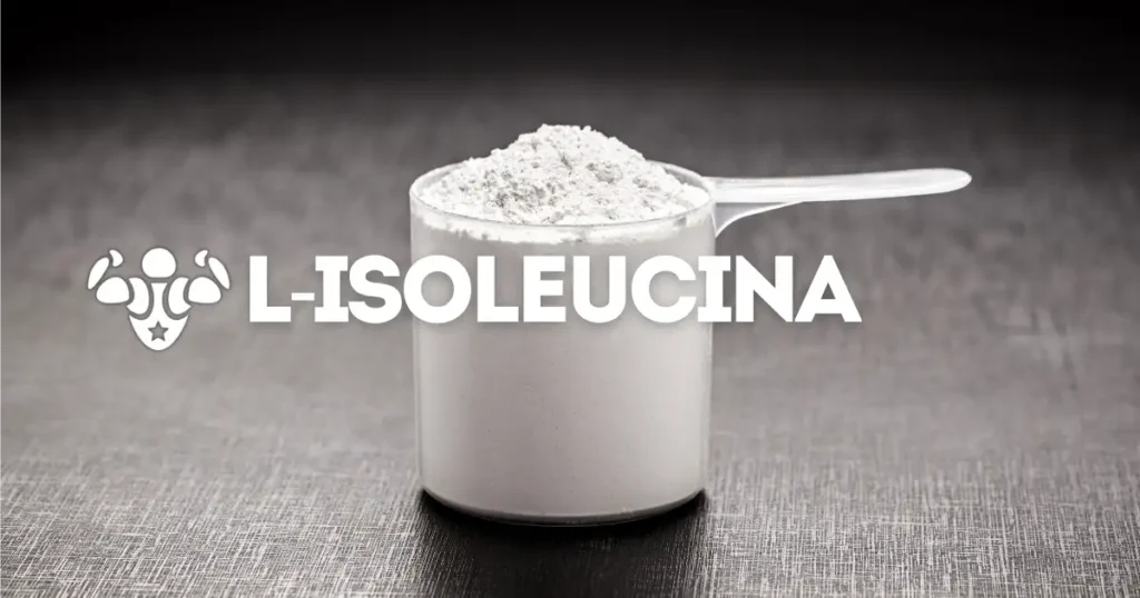 L-Isoleucina, aminoácido de cadena ramificada