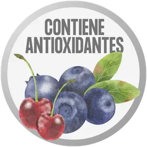 Icono fórmula con ingredientes antioxidantes