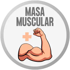 Apoyo al desarrollo y mantenimiento de la masa muscular