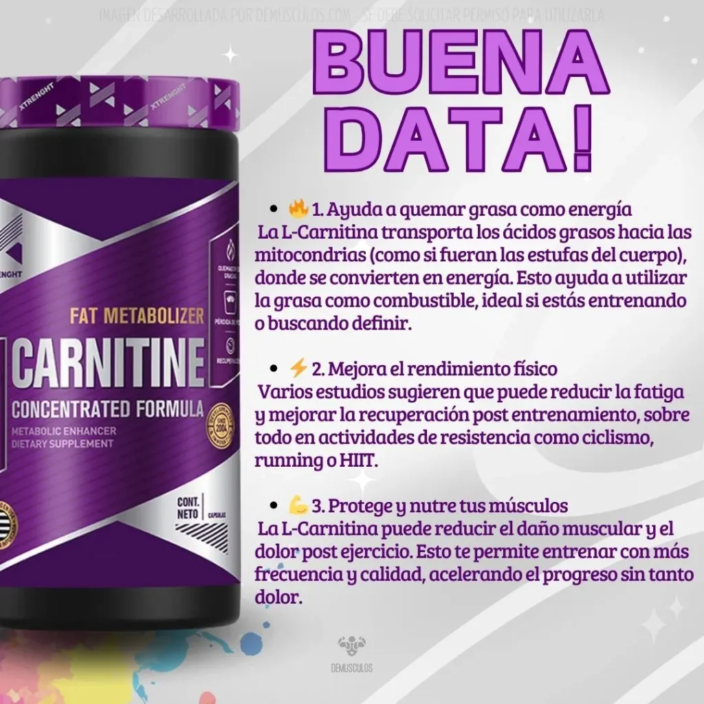 Información sobre la L-Carnitina