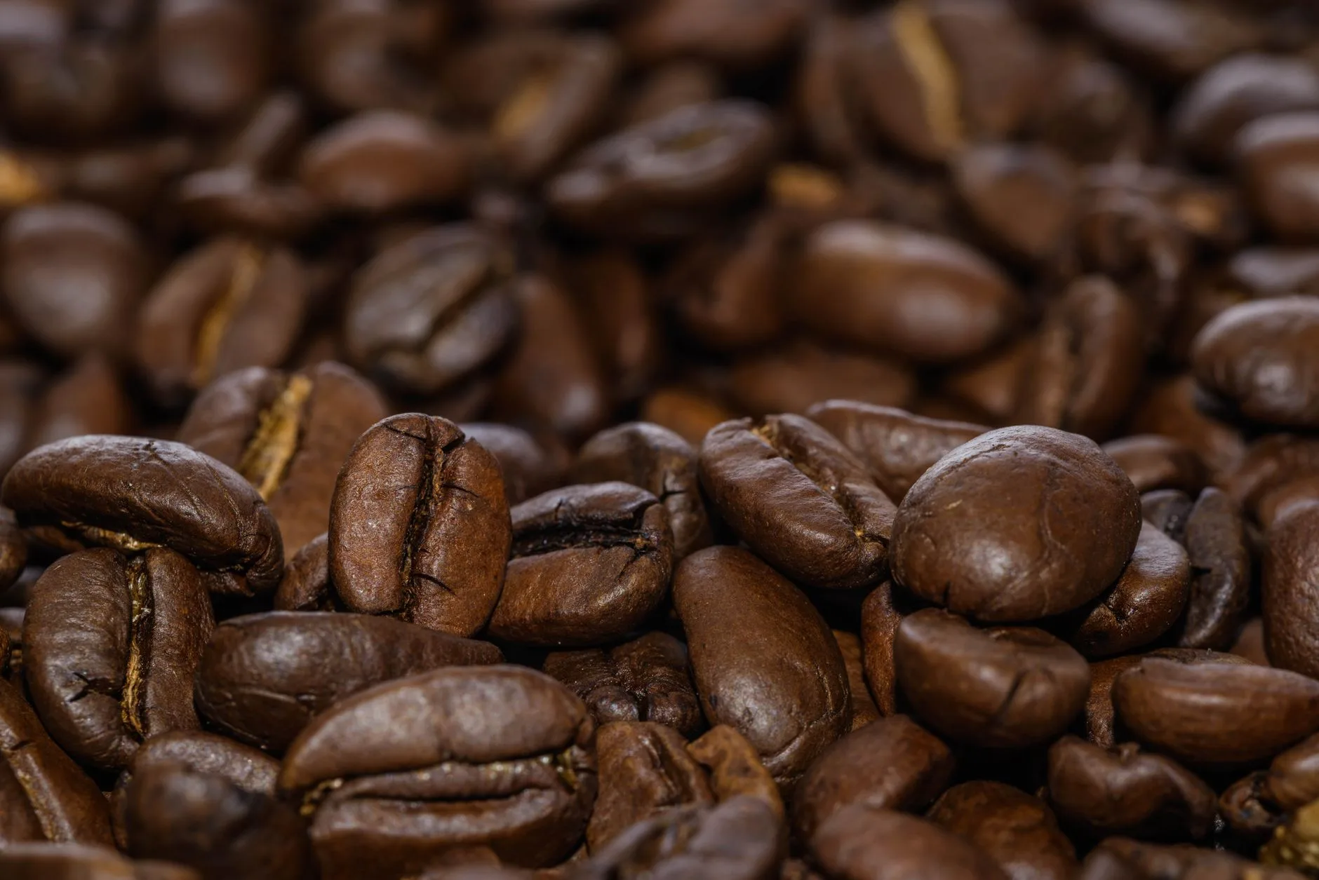 La importancia de la cafeína en los quemadores de grasa