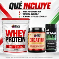 Whey Protein DMS + Creatina DMS + Bcaa Ena Sport - Combos - vista 2