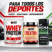 Whey Protein DMS + Creatina DMS + Bcaa Ena Sport - Combos - vista 5