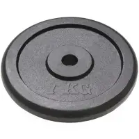 Disco de Fundicion 1,25 Kilo - Mir