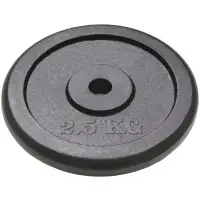 Disco de Fundicion 2.5 Kilos - Mir
