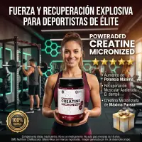 Creatina 500 grs de One Fit Monohidrato y Micronizado - One Fit - vista 5