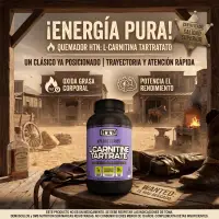L-carnitine Tartrate X 60 Cáps. de Htn - HTN - vista 5