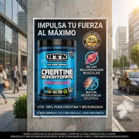 Creatina 500 grs de HTN Micronizada y Monohidrato - HTN - vista 3