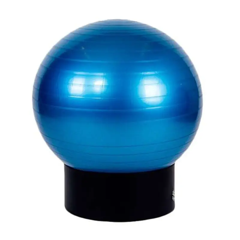 (3121-65) Pelota Esferodinamia 65 Centimetros
