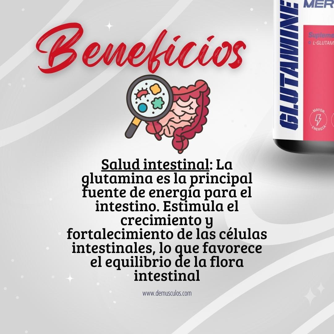 Salud Intestinal Salud Intestinal