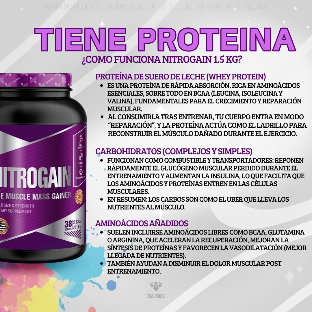 Nitrogain 1.5 de Xtrenght Nutrition - Beneficio de la proteina