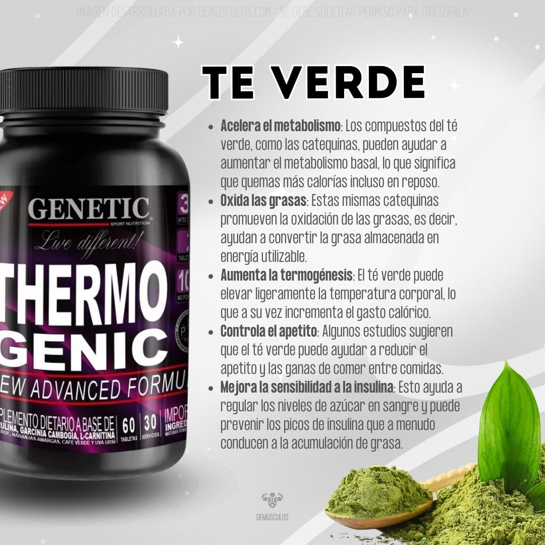 Té verde. Thermo Genic x60 Genetic Sport.