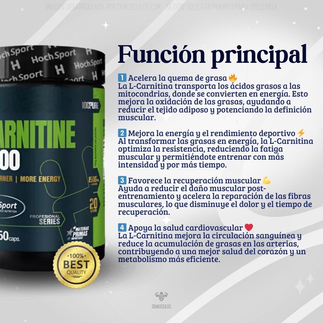 Función de la L-Carnitina de Hoch Sport