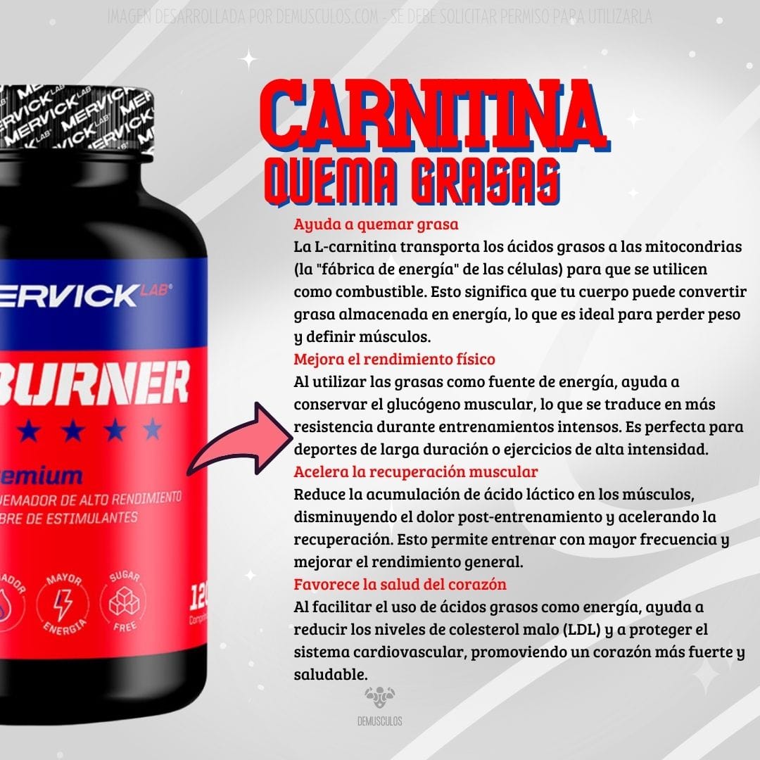 Quemador de grasas Fat Burner de Mervick x 120. Contiene carnitina.