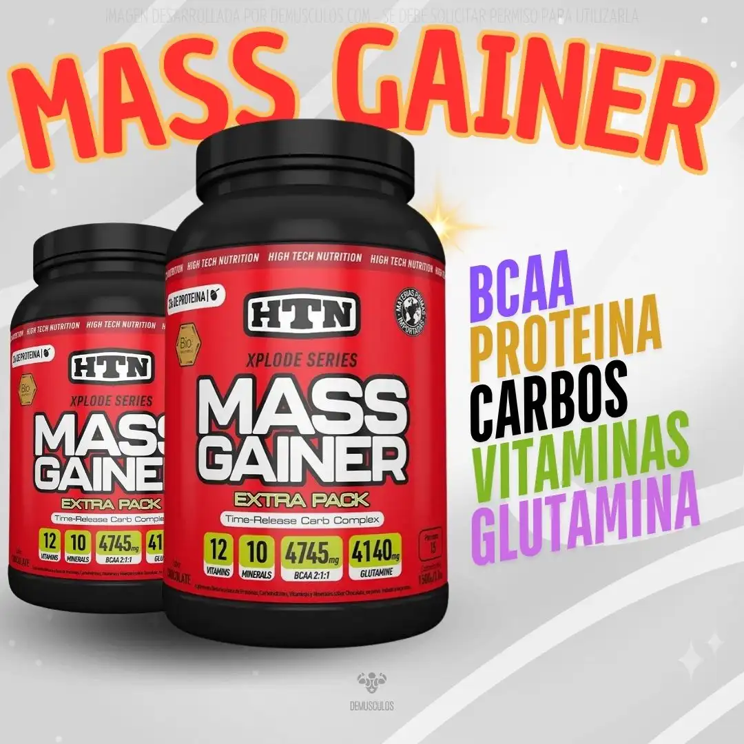 Ganador de masa muscular de HTN: Mass Gainer