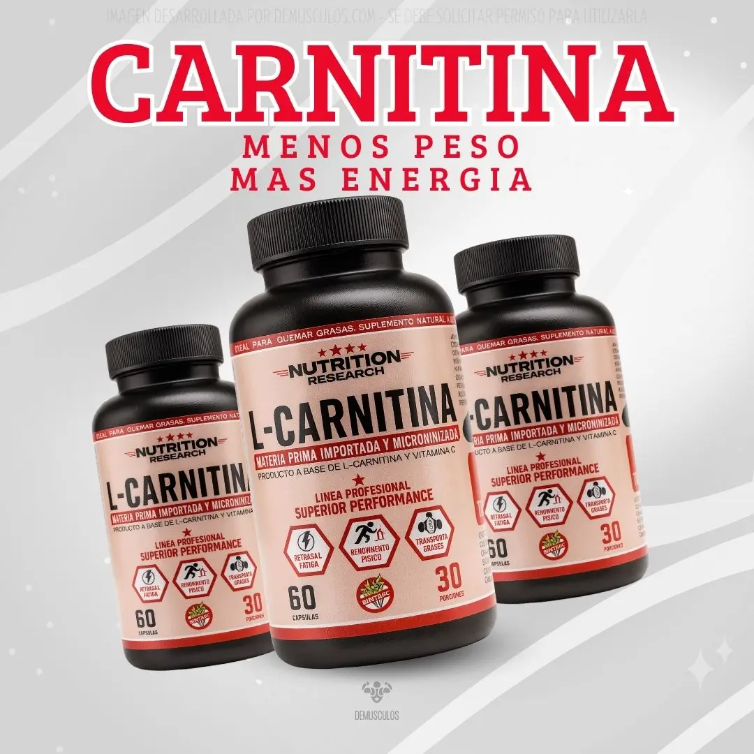 Carnitina Nutrition Research