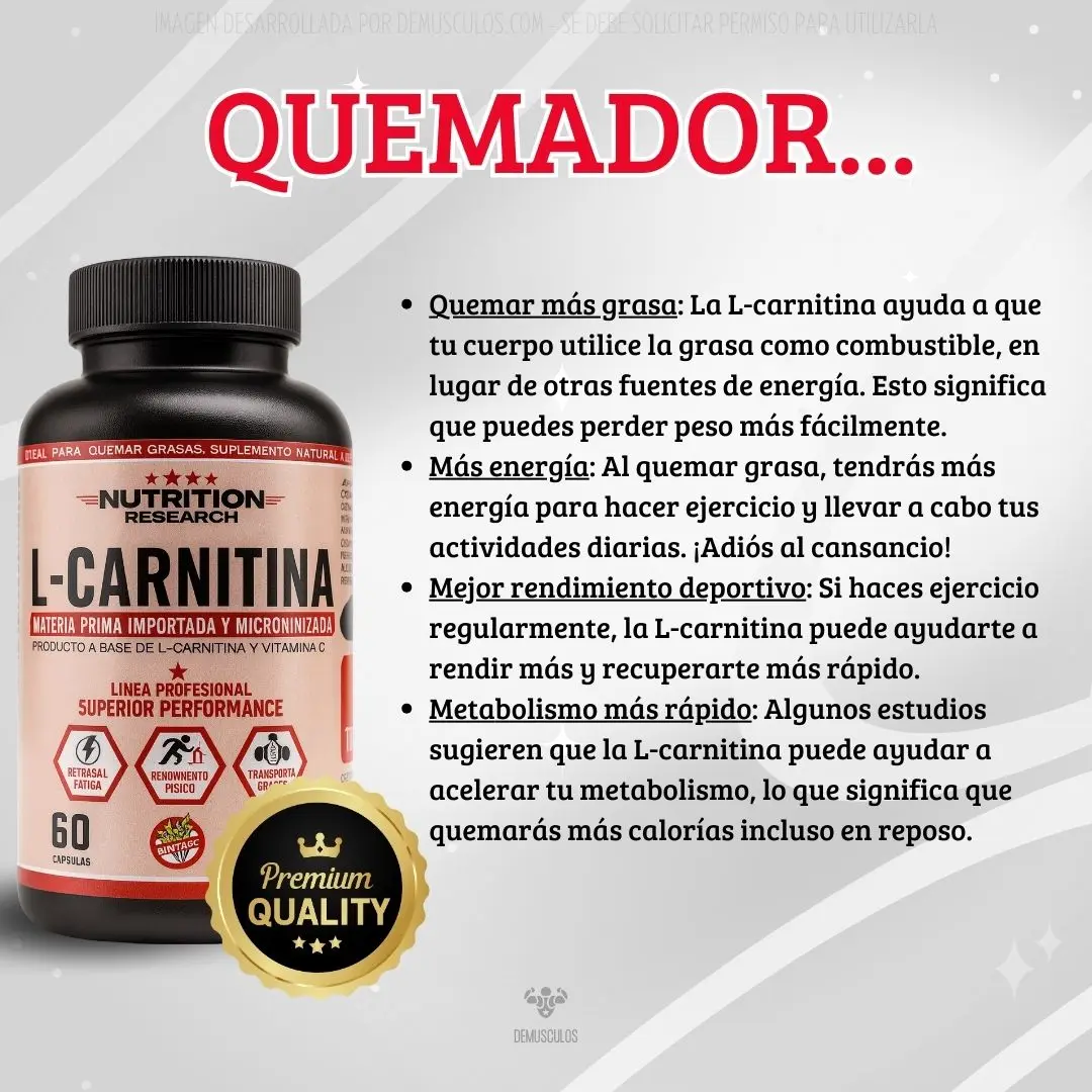 Carnitina Nutrition Research