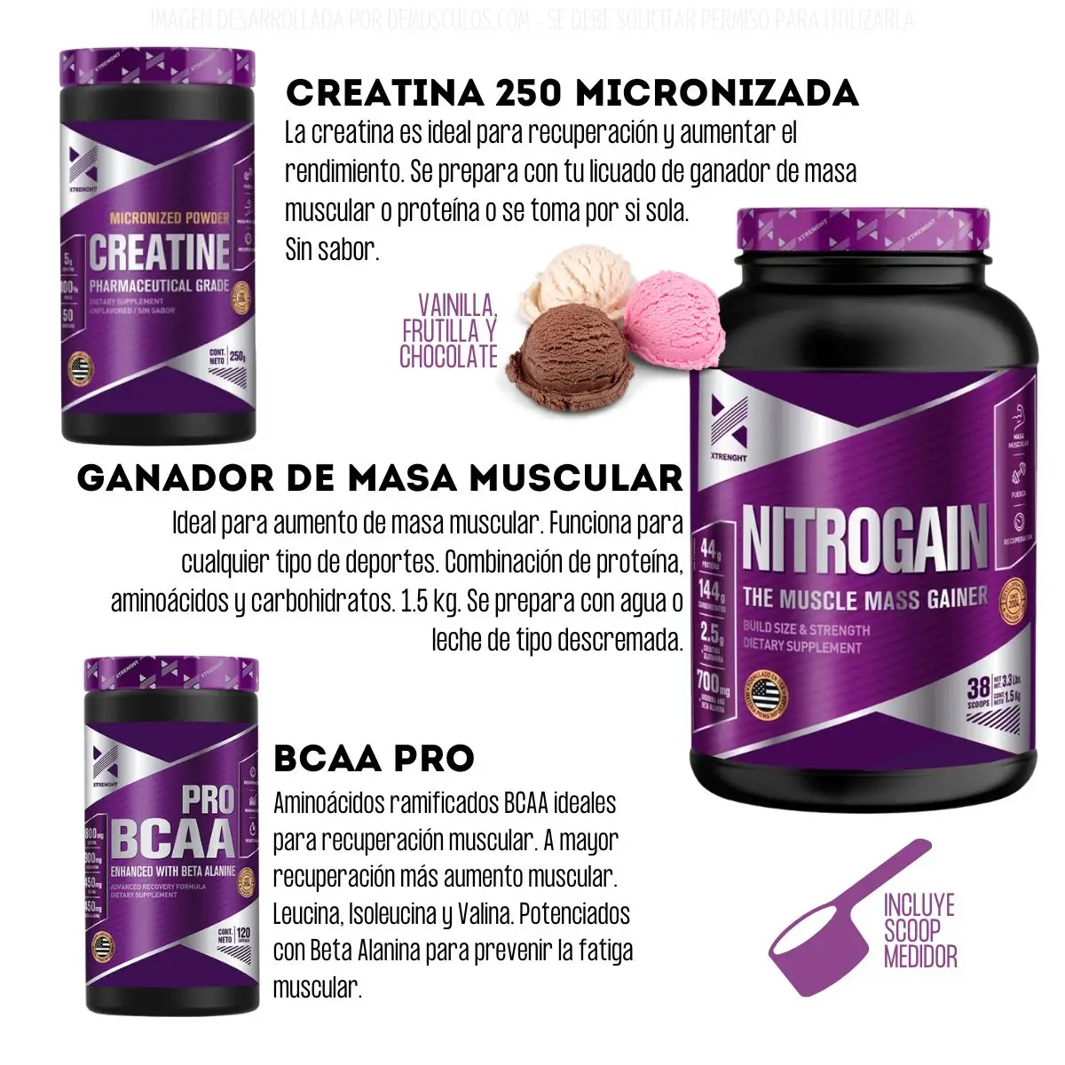 Combo Xtrenght: Bcaa Pro + Nitrogain + Creatina