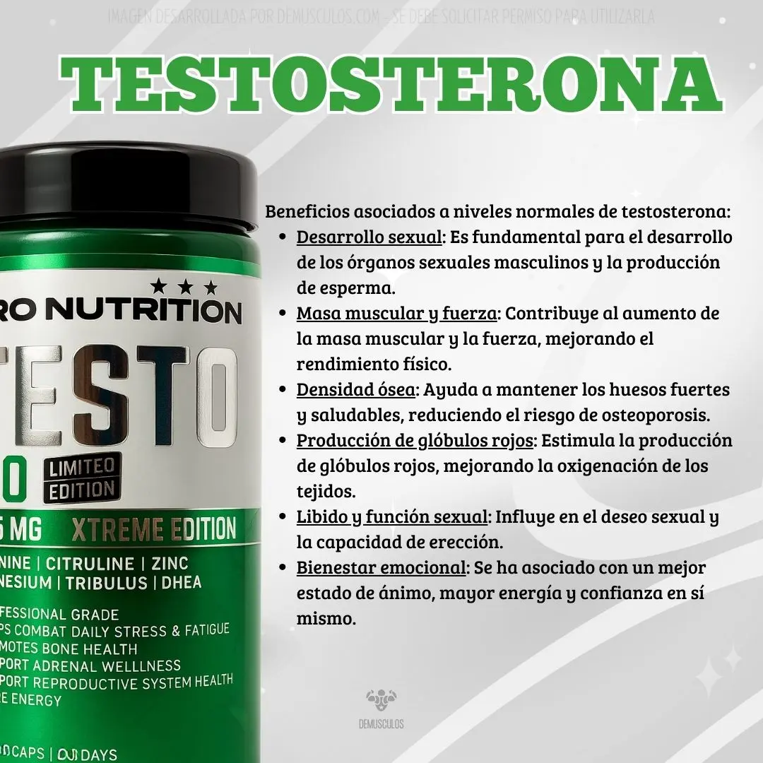 Testo 6 de Pro Nutrition