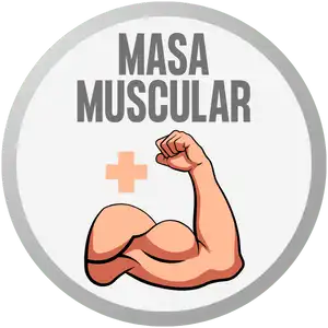 Masa Muscular