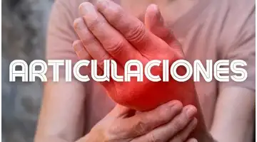 Articulaciones