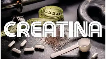Creatina
