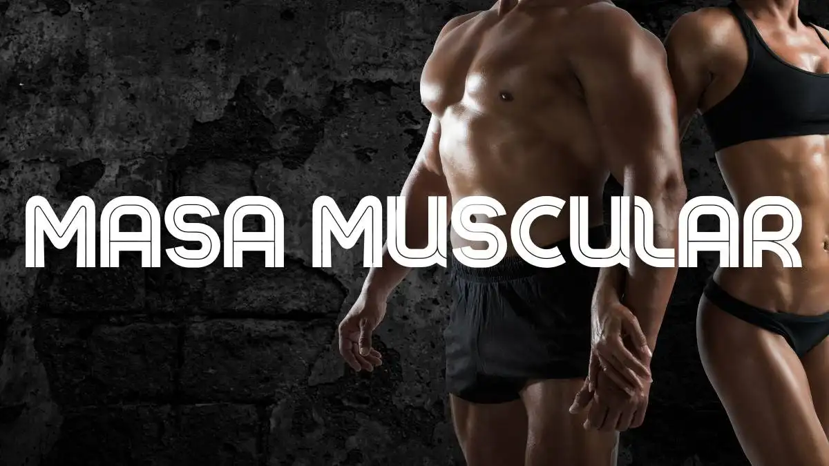 Suplementos para aumentar la masa muscular