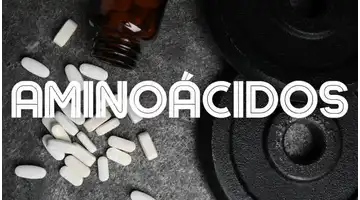 Aminoácidos